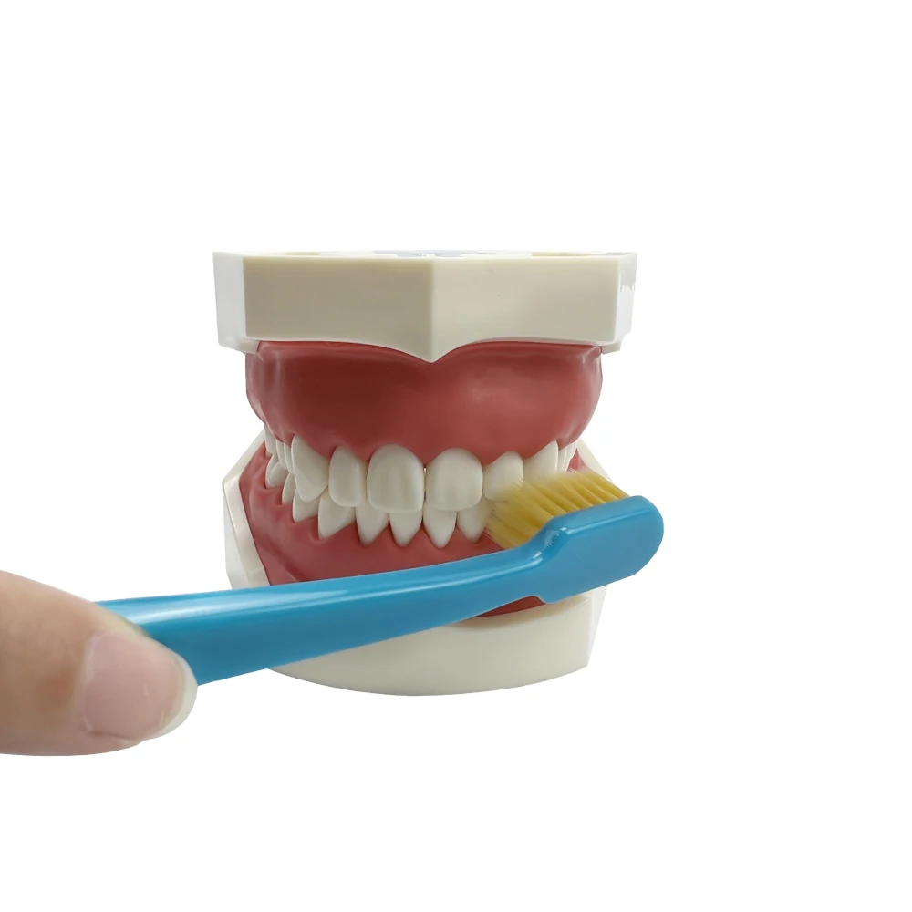 4Pcs/set Orthodontic Care Kit Toothbrush Interdental Brush Aligner Chewies Invisible Braces Remover Oral Hygiene Cleaning Tools - Image 5